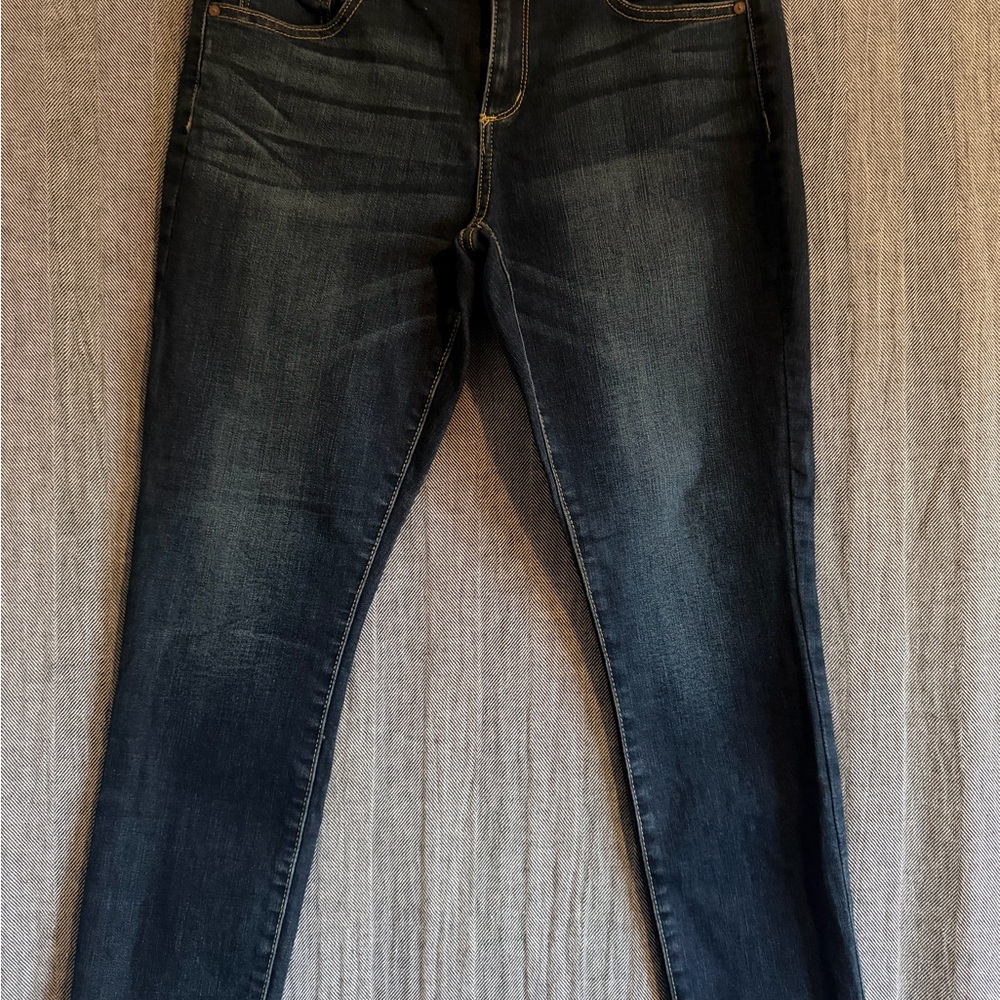 Arizona Jean Company Dark Blue Skinny Jeans